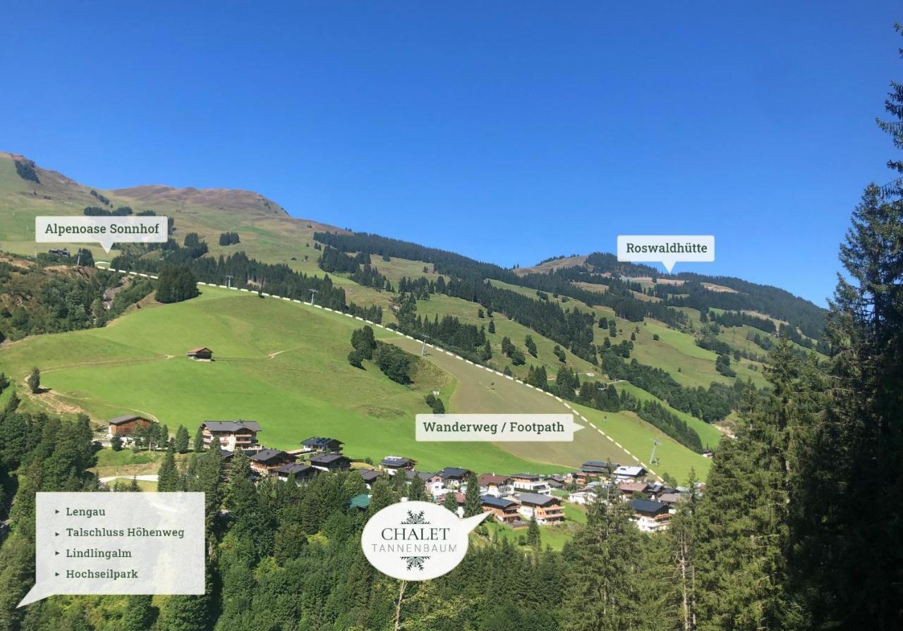 Chalet Tannenbaum by HolidayFlats24 Saalbach Exterior foto
